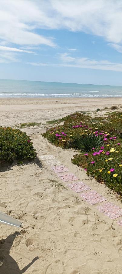 Casa Roberto Beach Torvaianica Dış mekan fotoğraf
